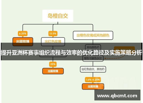 提升亚洲杯赛事组织流程与效率的优化路径及实施策略分析