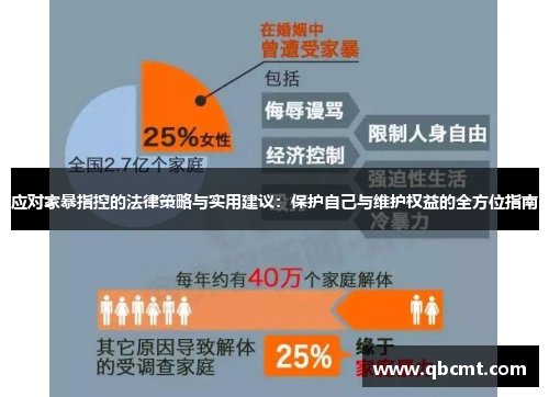 应对家暴指控的法律策略与实用建议：保护自己与维护权益的全方位指南