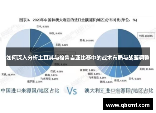 如何深入分析土耳其与格鲁吉亚比赛中的战术布局与战略调整