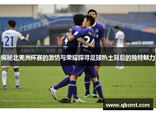 揭秘北美洲杯赛的激情与荣耀探寻足球热土背后的独特魅力