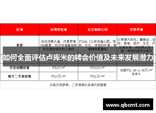 如何全面评估卢库米的转会价值及未来发展潜力