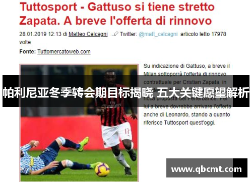 帕利尼亚冬季转会期目标揭晓 五大关键愿望解析